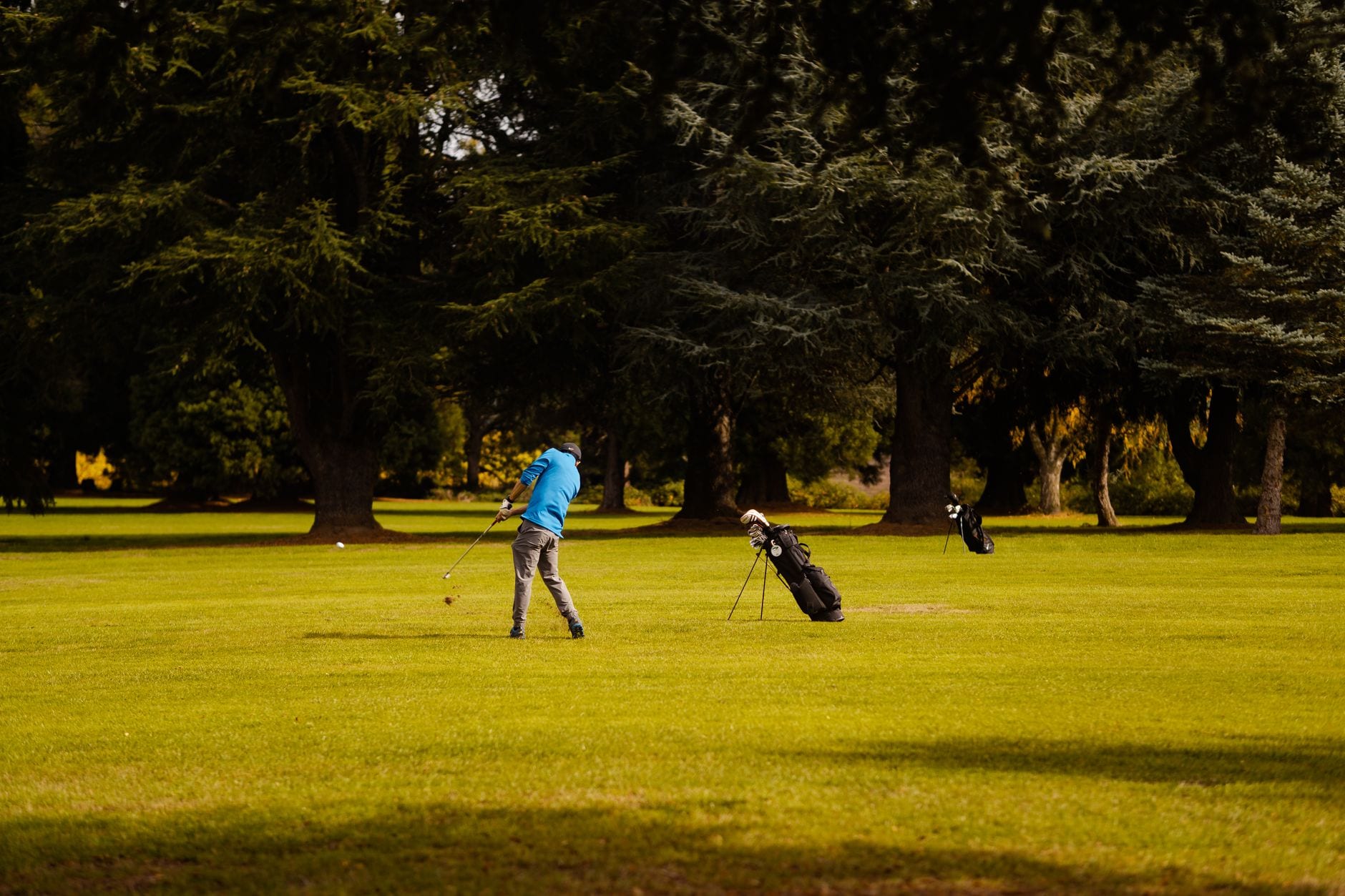 A golfer taking a swing on a lush course surrounded by trees
